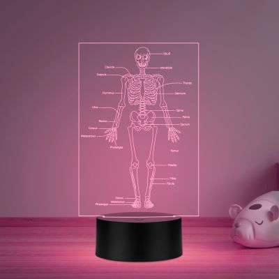 Skeleton of Human Body with Names 7 Color Changing Light with Remote Control